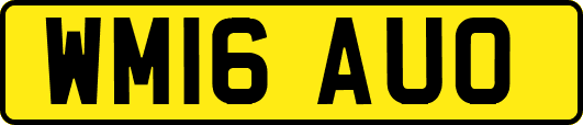 WM16AUO