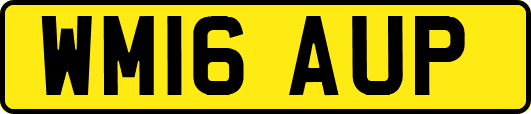 WM16AUP
