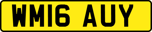 WM16AUY