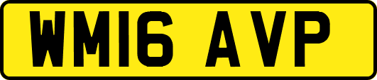 WM16AVP