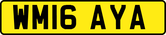 WM16AYA