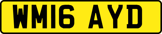 WM16AYD