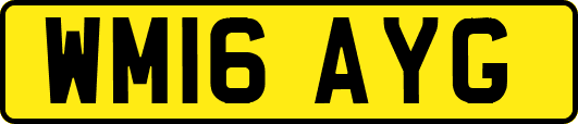 WM16AYG