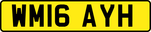 WM16AYH