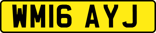 WM16AYJ