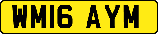 WM16AYM