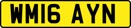 WM16AYN