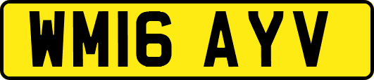 WM16AYV