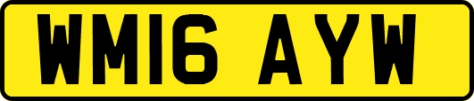 WM16AYW