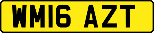 WM16AZT