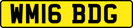 WM16BDG