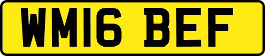 WM16BEF
