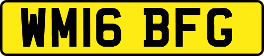 WM16BFG