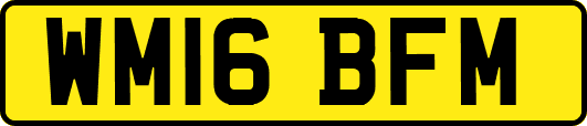 WM16BFM