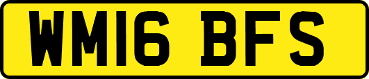 WM16BFS