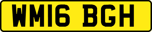 WM16BGH