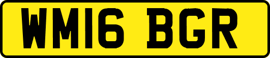 WM16BGR