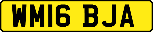 WM16BJA