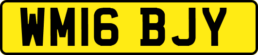 WM16BJY
