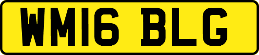 WM16BLG