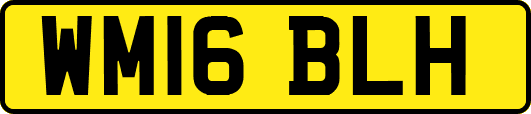 WM16BLH
