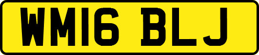WM16BLJ