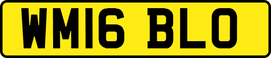 WM16BLO