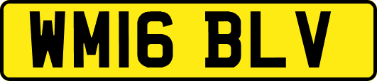 WM16BLV