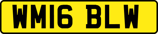 WM16BLW