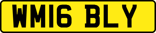 WM16BLY