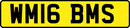 WM16BMS