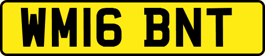 WM16BNT