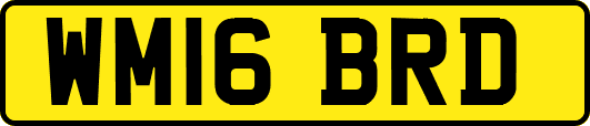WM16BRD