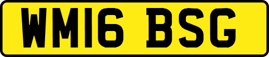 WM16BSG