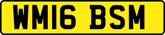 WM16BSM