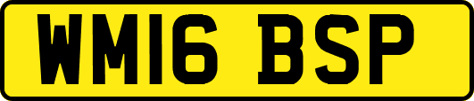 WM16BSP