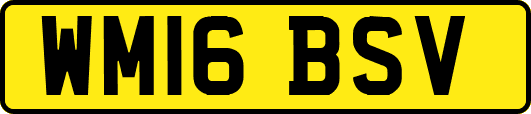 WM16BSV