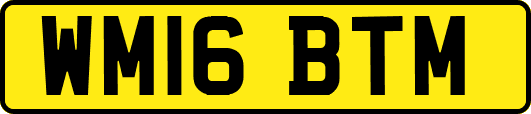 WM16BTM