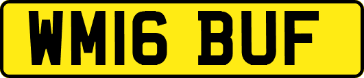 WM16BUF