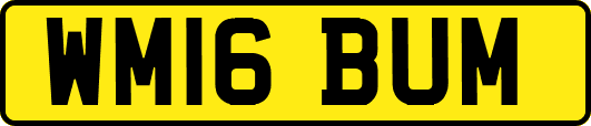 WM16BUM