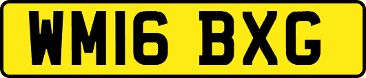 WM16BXG