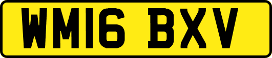 WM16BXV