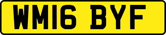WM16BYF