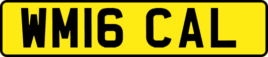 WM16CAL