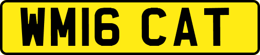 WM16CAT