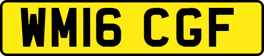 WM16CGF