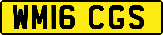 WM16CGS