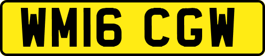 WM16CGW