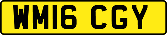 WM16CGY