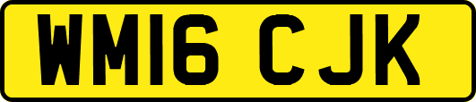 WM16CJK
